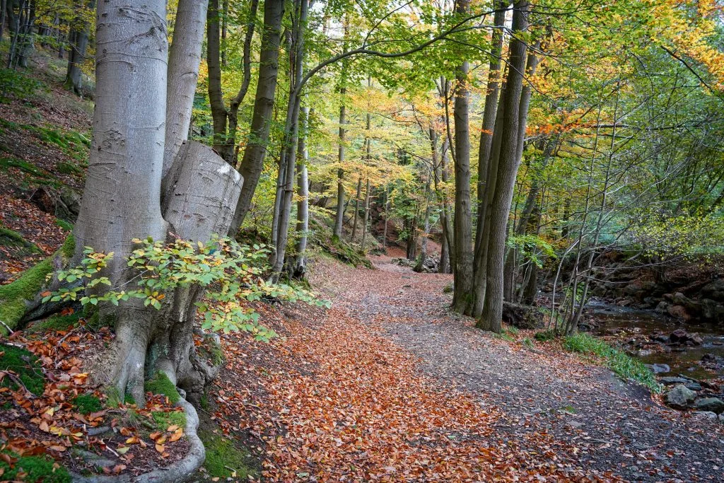 les balades de david wallonie belgique randonnee tourisme