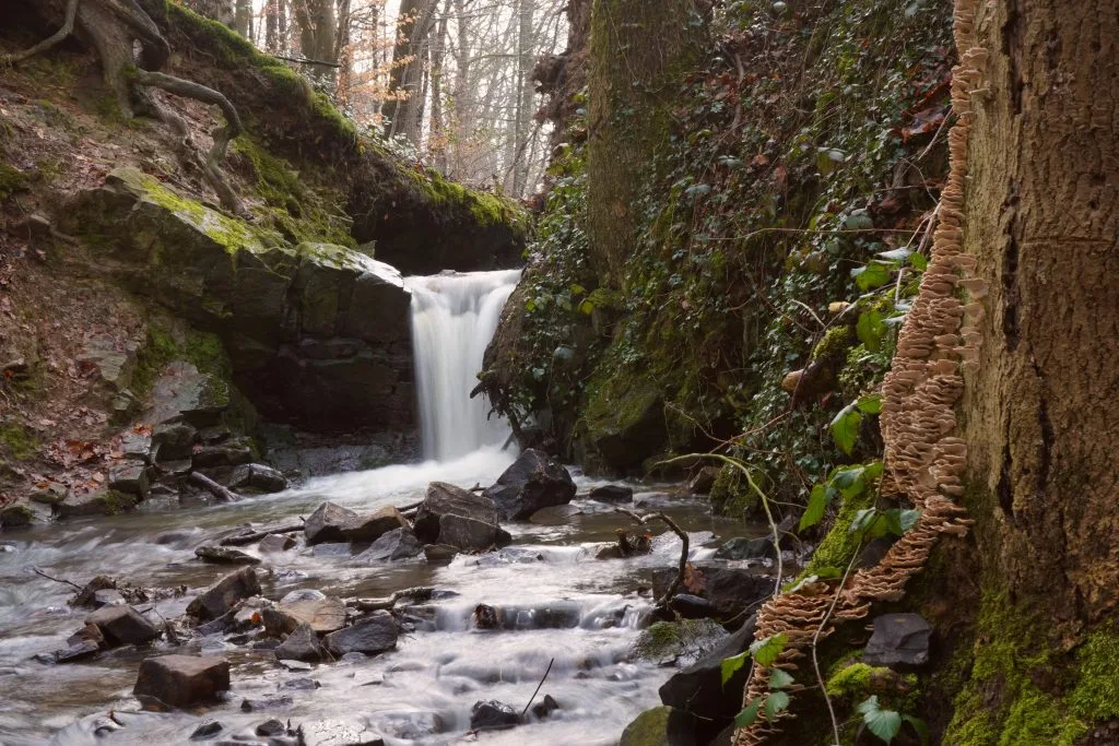 les balades de david wallonie belgique randonnee tourisme